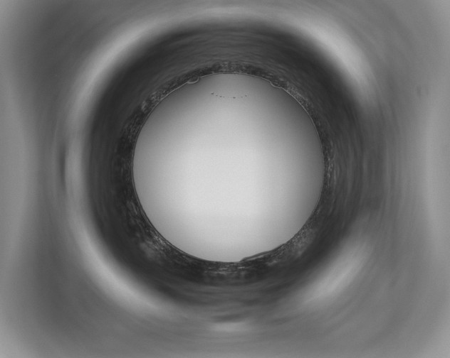 X0000112490383200908170956