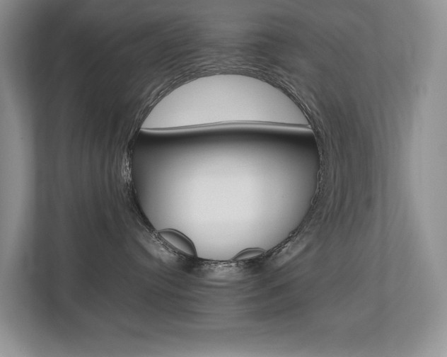 X0000112490384200908170956