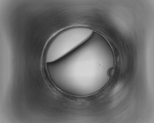 X0000112490388200908170955