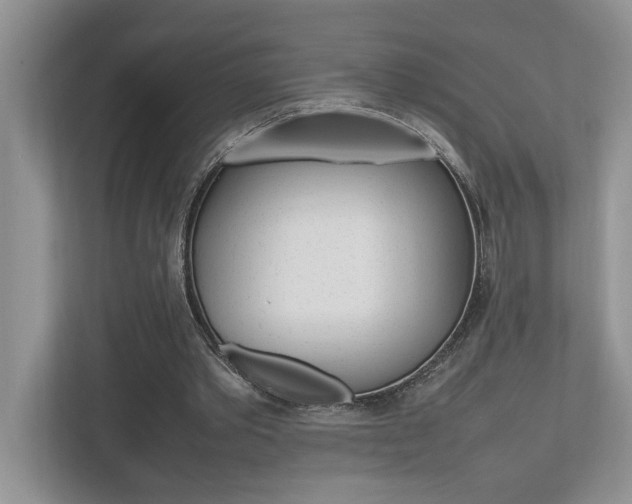 X0000112490389200908170955