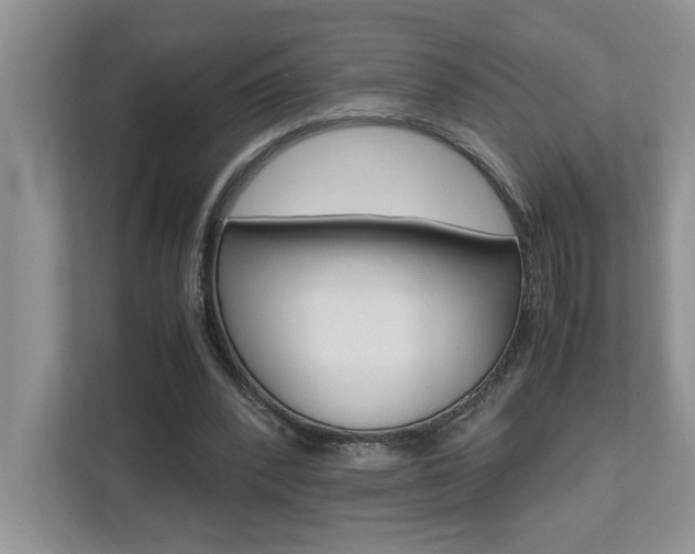 X0000112490392200908170955