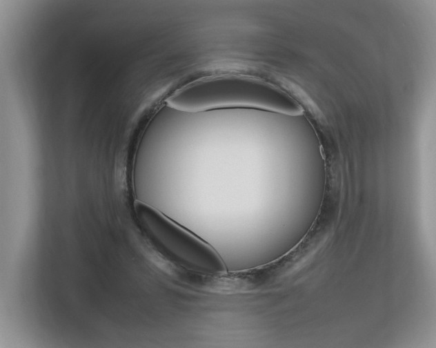 X0000112490399200908170955