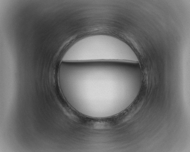 X0000112490400200908170955