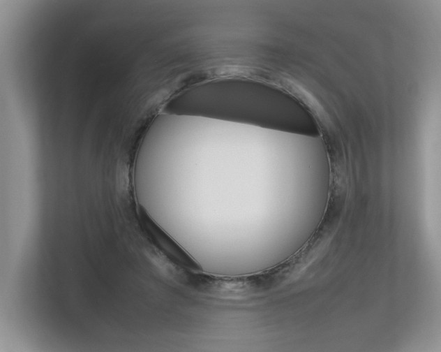 X0000112490401200908170955