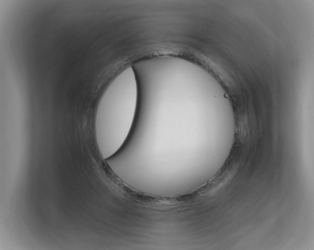 X0000112490402200908170955