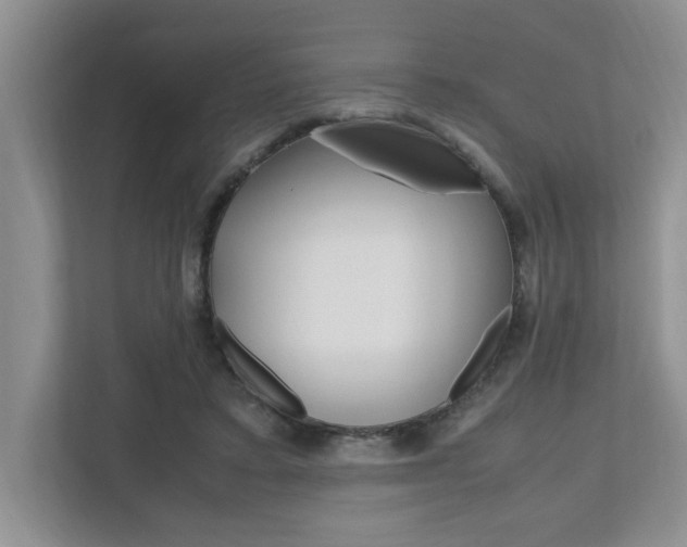 X0000112490403200908170955