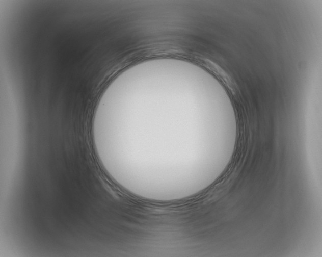 X0000112490405200908170955