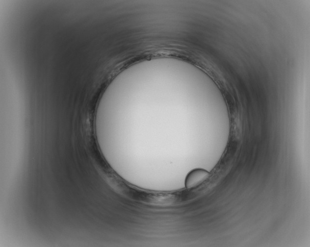 X0000112490410200908170955