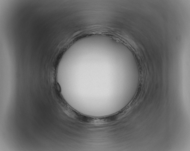 X0000112490413200908170955