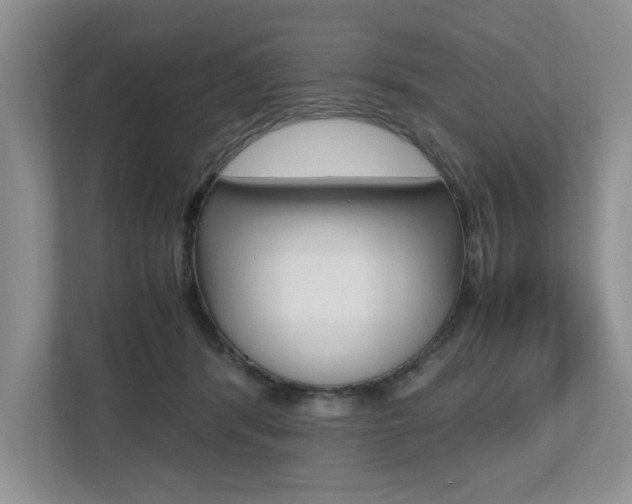 X0000112490416200908170955