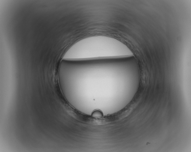 X0000112490420200908170955