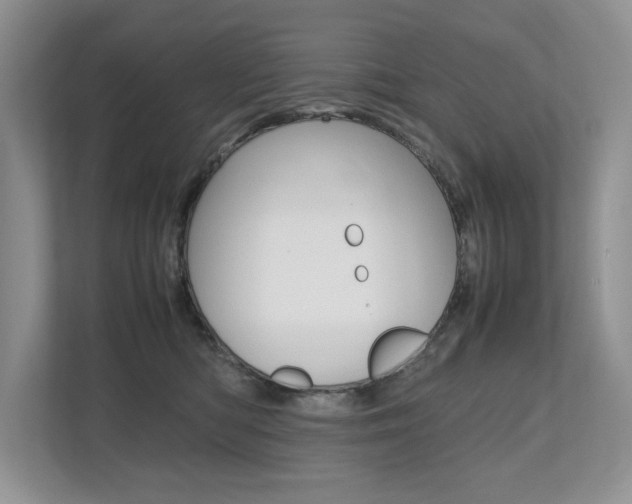 X0000112490422200908170955
