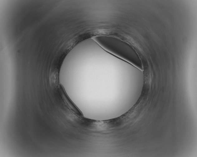 X0000112490425200908170955