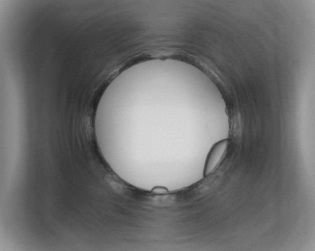X0000112490426200908170955