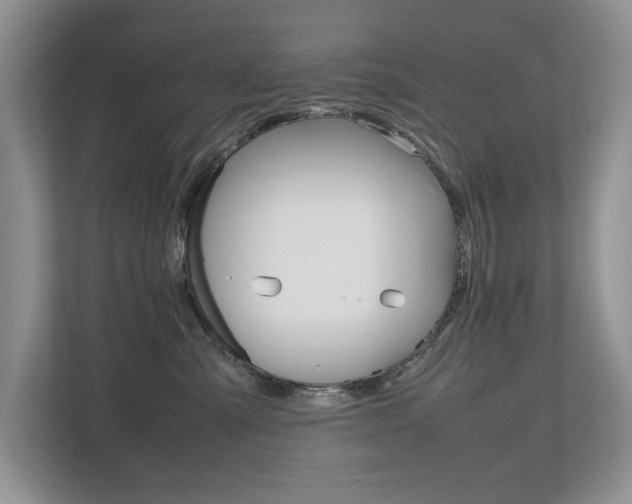 X0000112490427200908170955