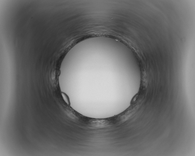 X0000112490428200908170955