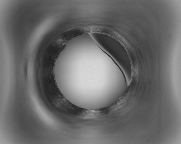 X0000112490429200908170955
