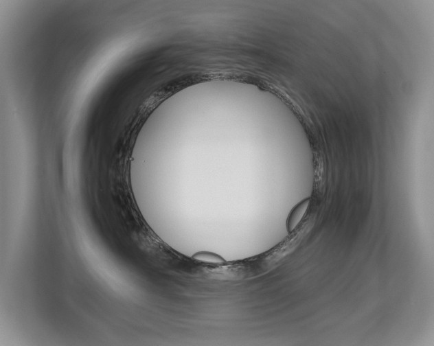 X0000112490430200908170955