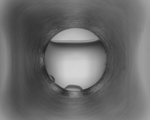 X0000112490432200908170955