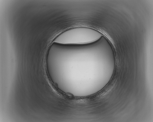 X0000112490433200908170954