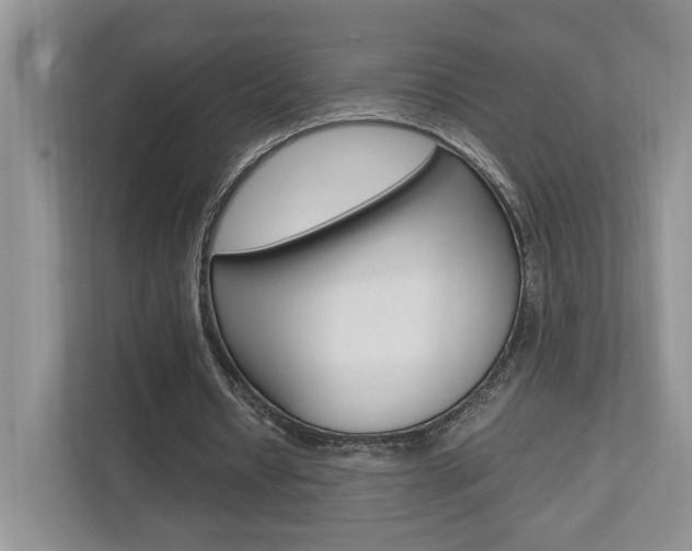 X0000112490434200908170954