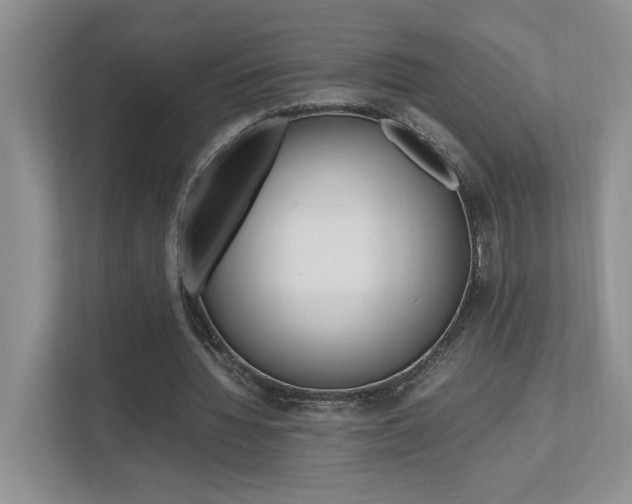 X0000112490436200908170954
