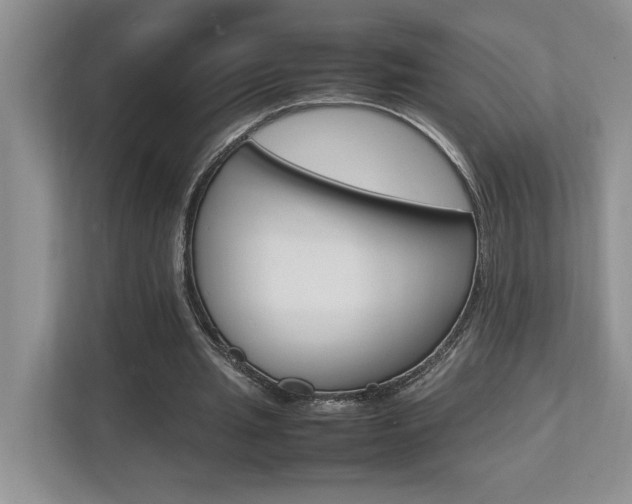 X0000112490437200908170954