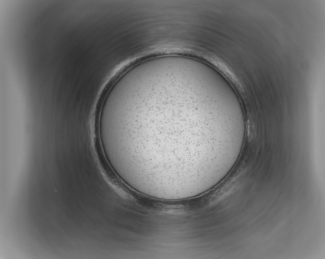 X0000112490438200908170954