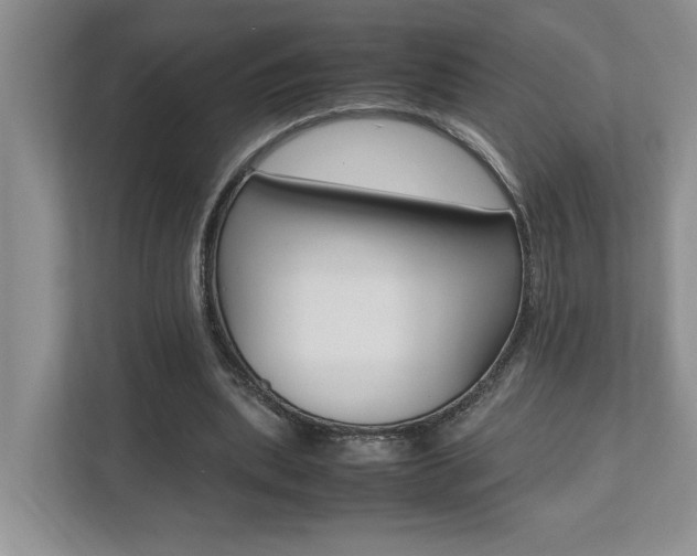 X0000112490439200908170954