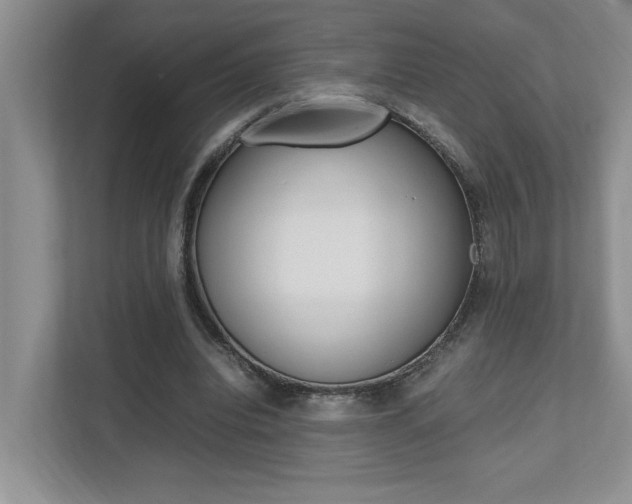 X0000112490440200908170954