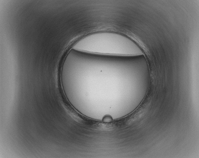 X0000112490442200908170954