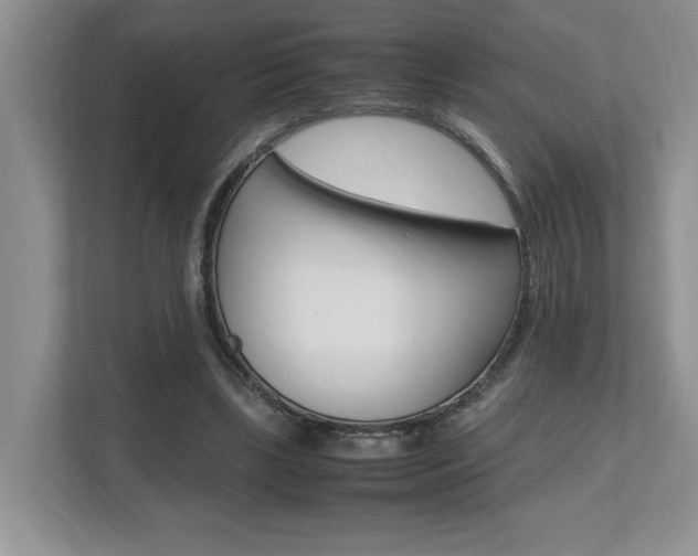 X0000112490443200908170954