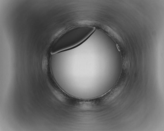 X0000112490448200908170954