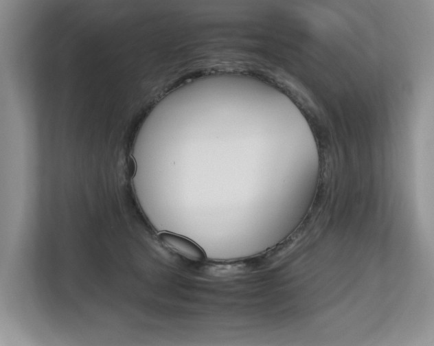 X0000112490465200908170955