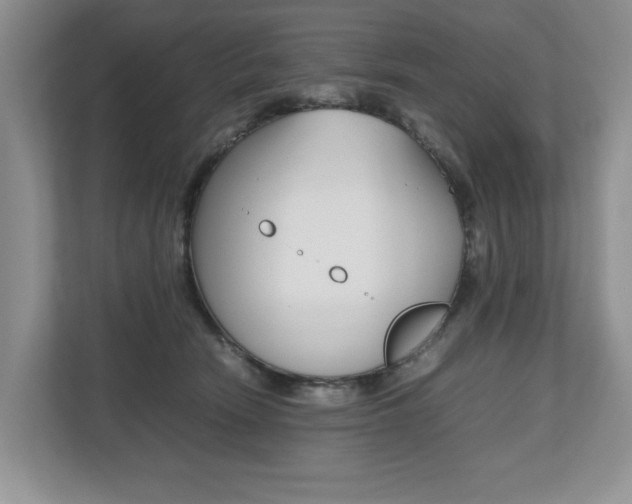 X0000112490466200908170955