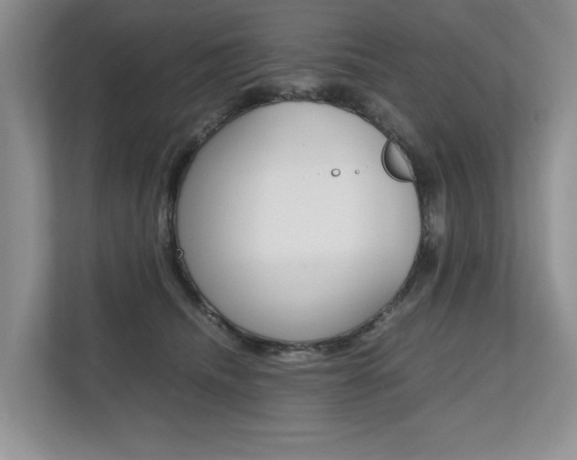 X0000112490468200908170955