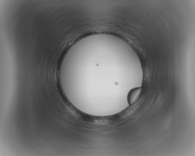 X0000112490470200908170955