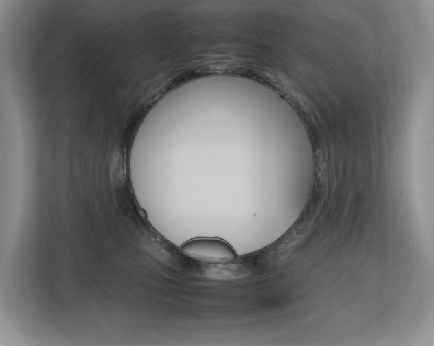 X0000112490471200908170955