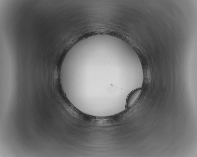 X0000112490472200908170955