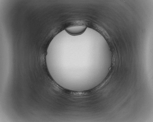 X0000112490473200908170955