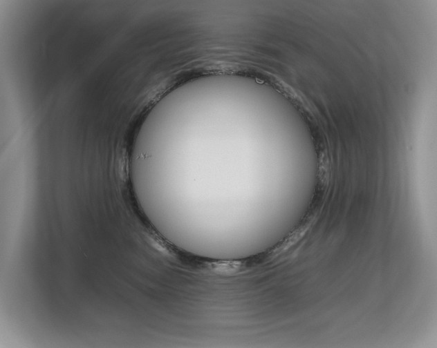 X0000112490474200908170955