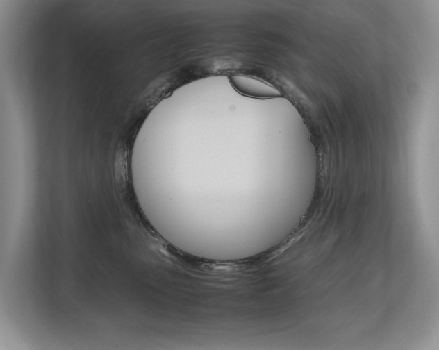X0000112490475200908170955