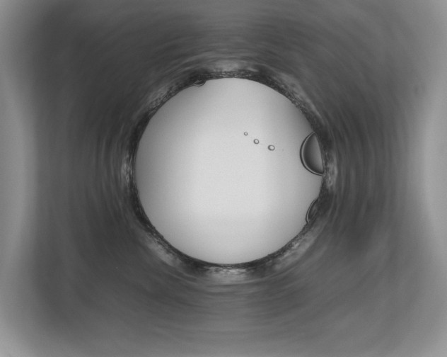 X0000112490476200908170955