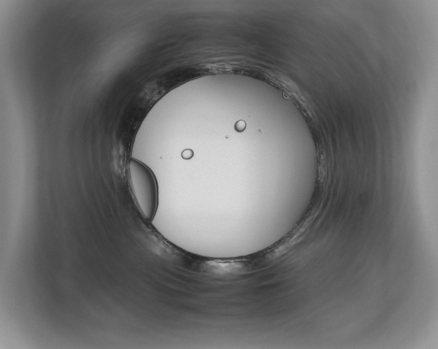 X0000112490477200908170955