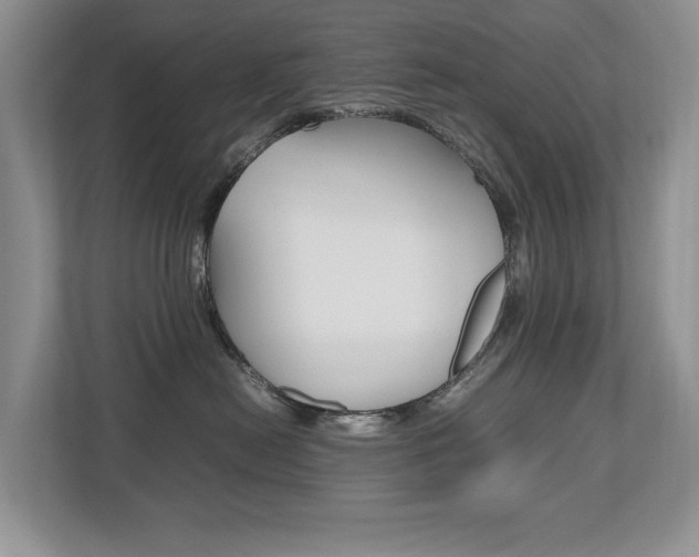 X0000112490478200908170955