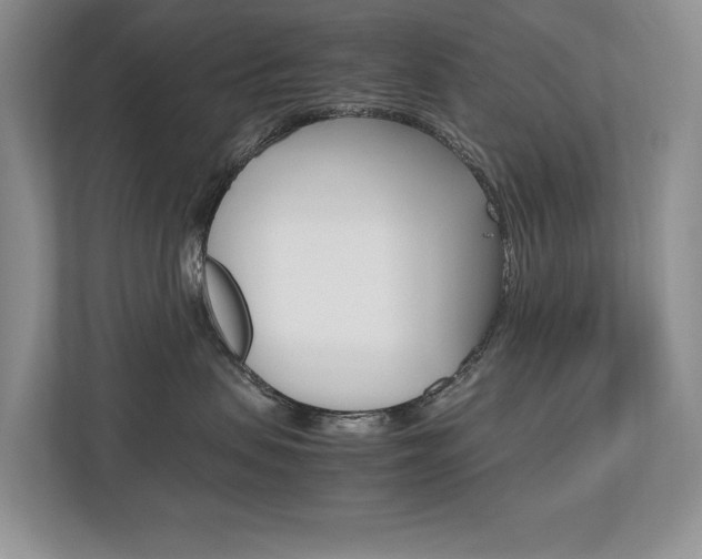 X0000112490479200908170955