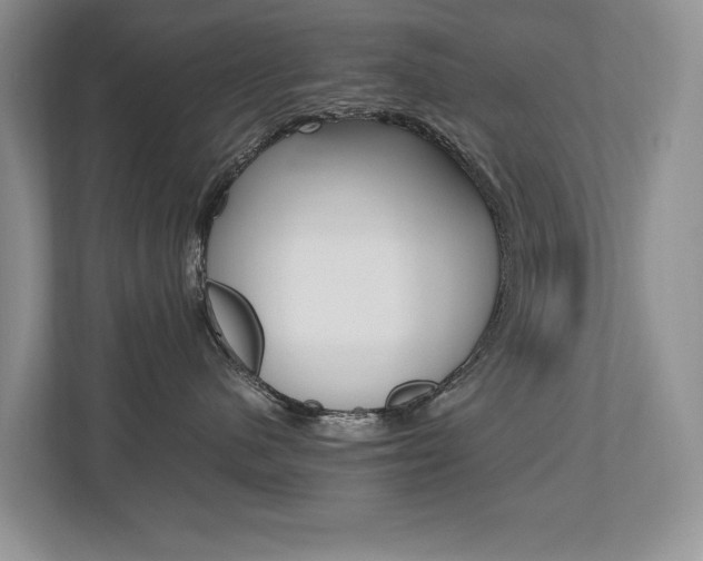 X0000112490480200908170955