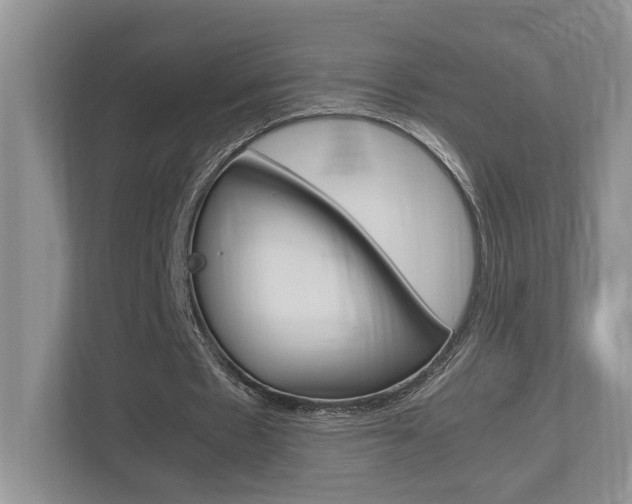 X0000112490481200908170954