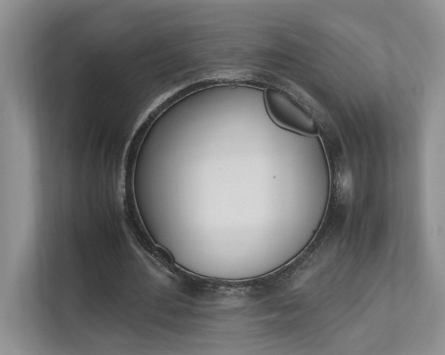 X0000112490484200908170954