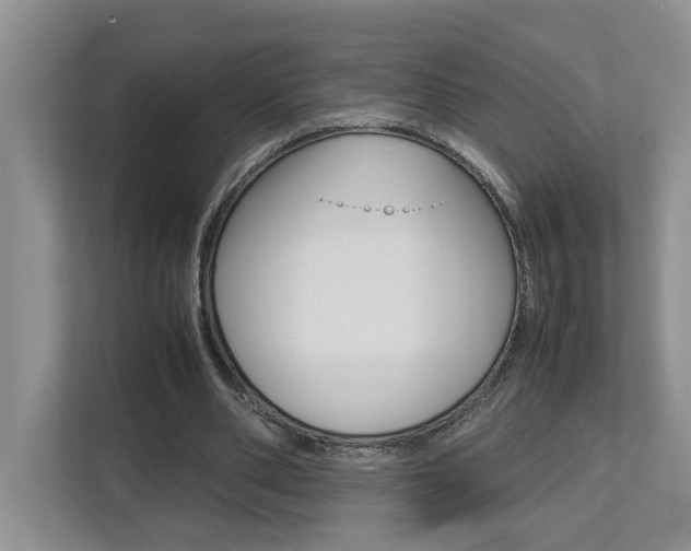X0000112490486200908170954
